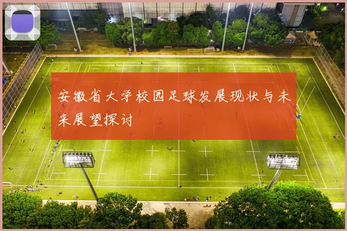 安徽省大学校园足球发展现状与未来展望探讨